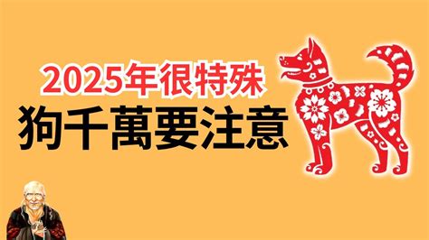 屬狗佩戴飾物|2025屬狗佩戴飾物的最佳選擇與意義解析